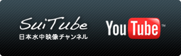 YouTube日本水中映像チャンネルSuiTube