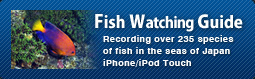 Fish Watching Guide iPhone