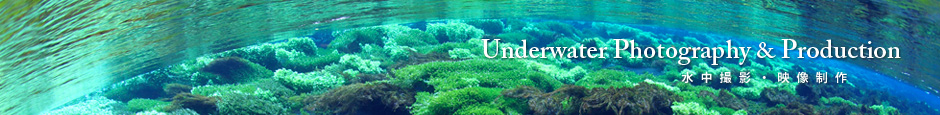 UnderwaterPhotography&Production