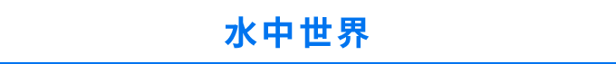 私が見た水中世界を伝えたい