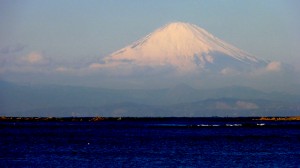 hayama fuji