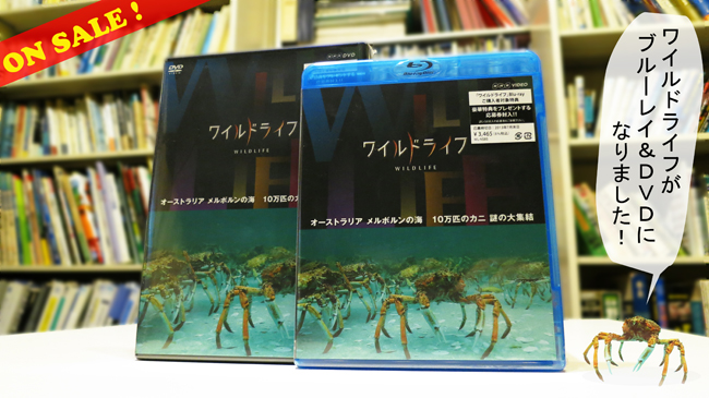 wildlife bd dvd