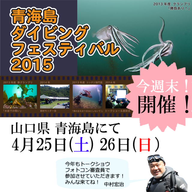 青海島ダイビングフェスティバル2015