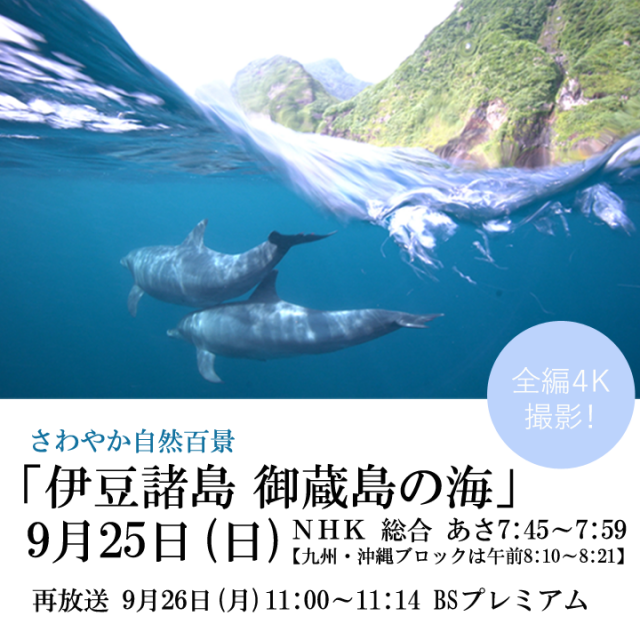 さわやか自然百景「御蔵島の海」