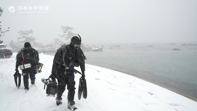 雪ん子ダイバーロゴ入り