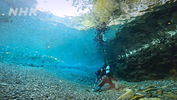 ワイルドライフ 内山りゅう