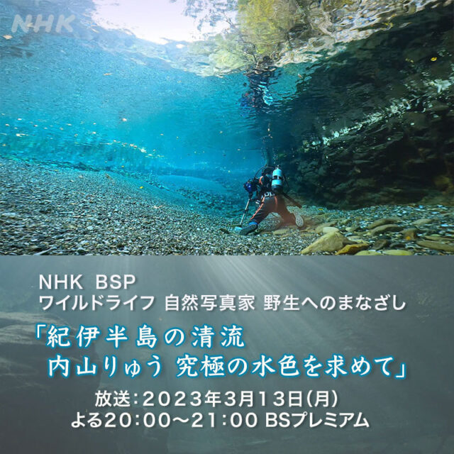 ワイルドライフ 紀伊半島の清流 内山りゅう 究極の水色を求めて