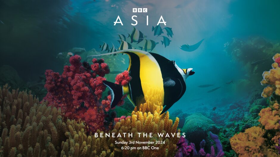 BBC「ASIA」シリーズ１ Beneath the Waves 放送開始！