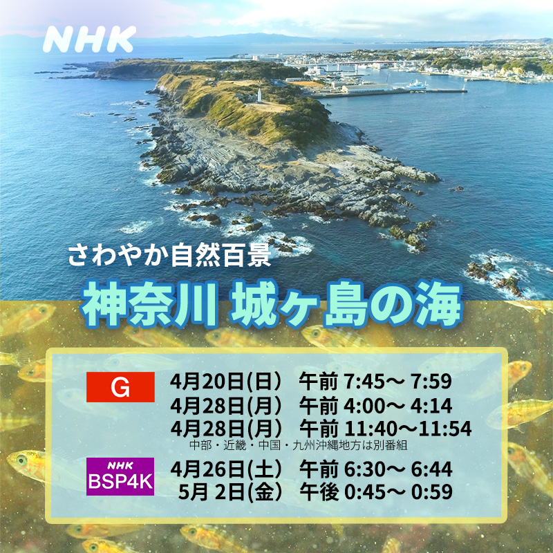 NHKさわやか自然百景「神奈川 城ヶ島の海」