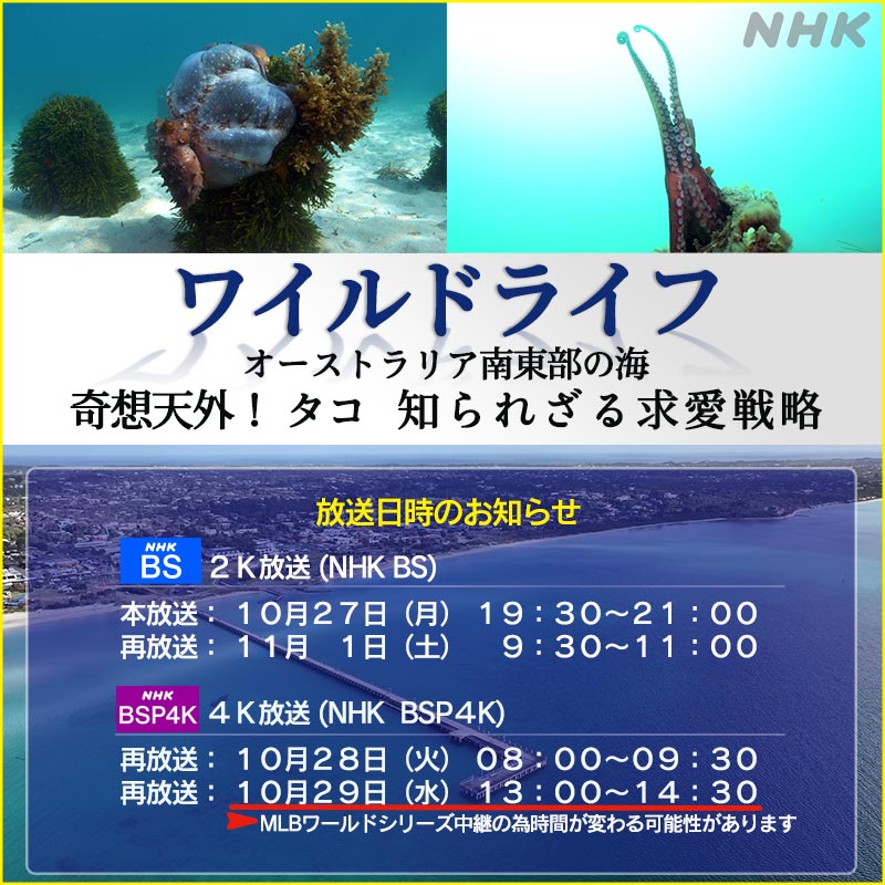 放送のお知らせ
