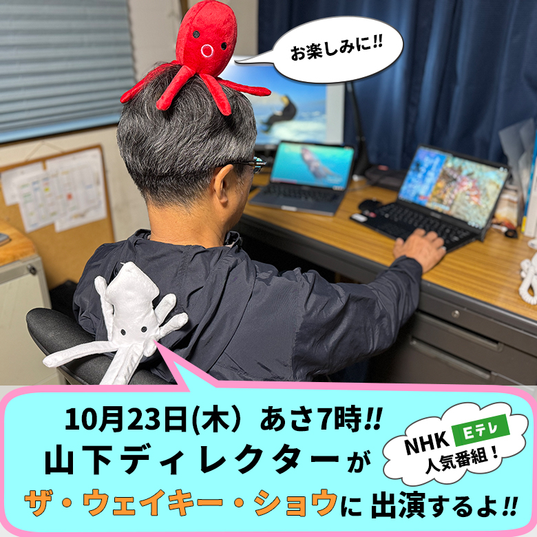 NHKウェイキーショウ