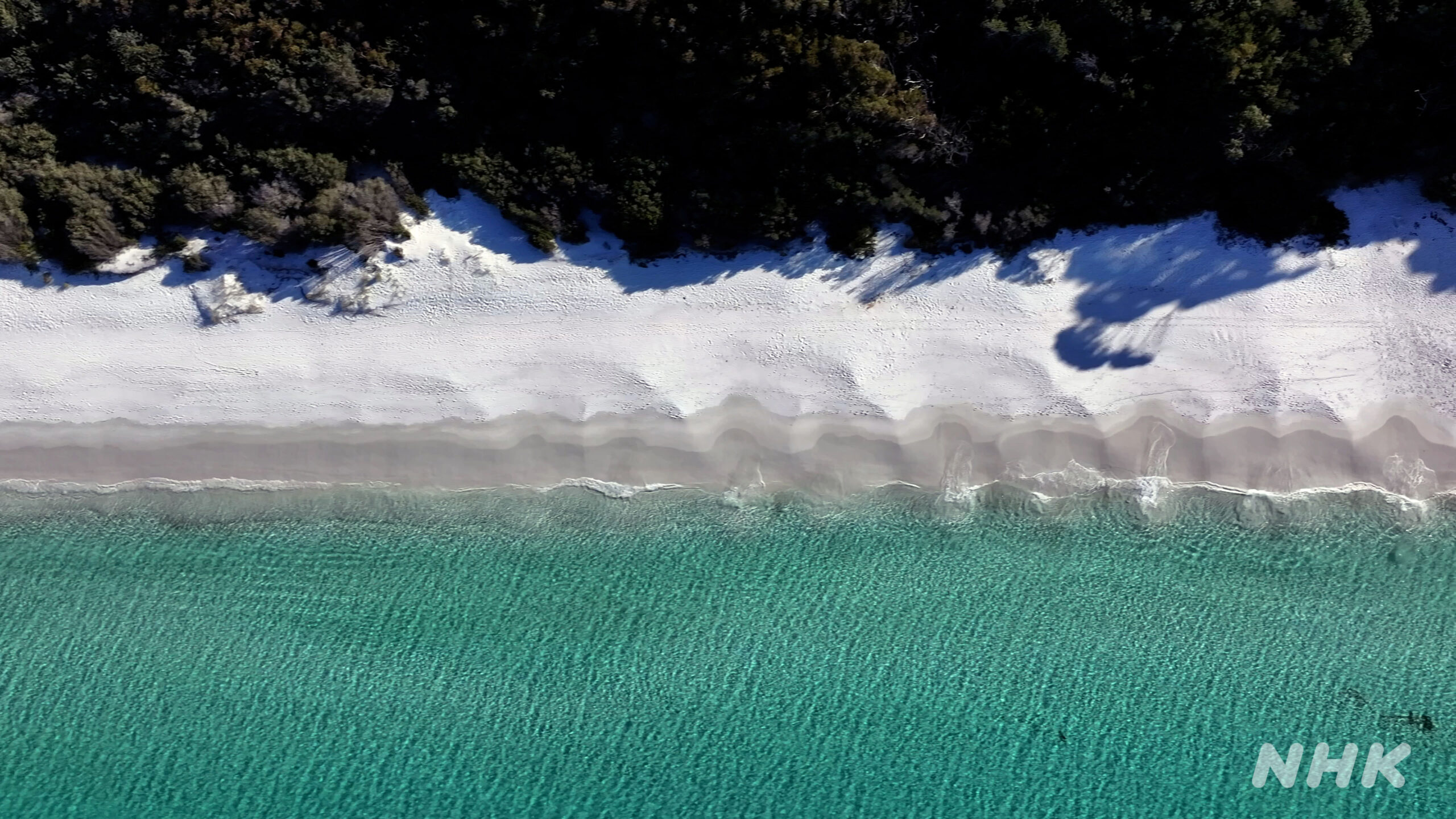 オーストラリア_シドニー_ハイアムスビーチ