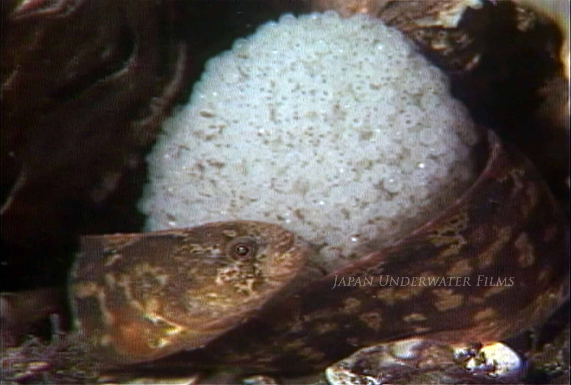 20th century records