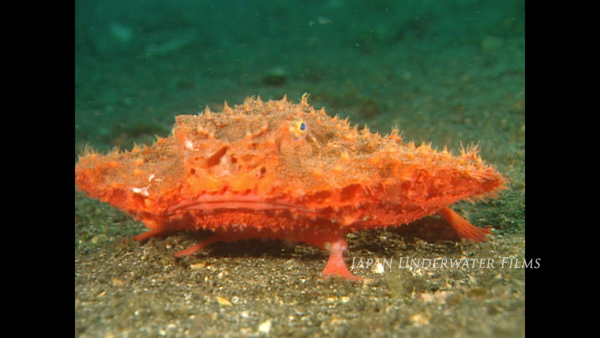 Japan’s Oceans in the 1990s – From the Deep Sea