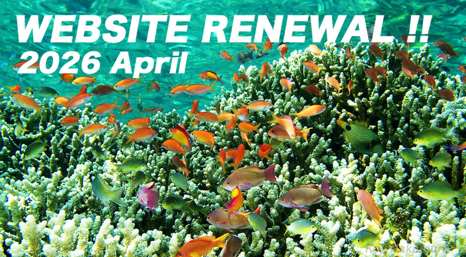 新プロジェクト第一弾！リニューアル・ウェブサイト公開
