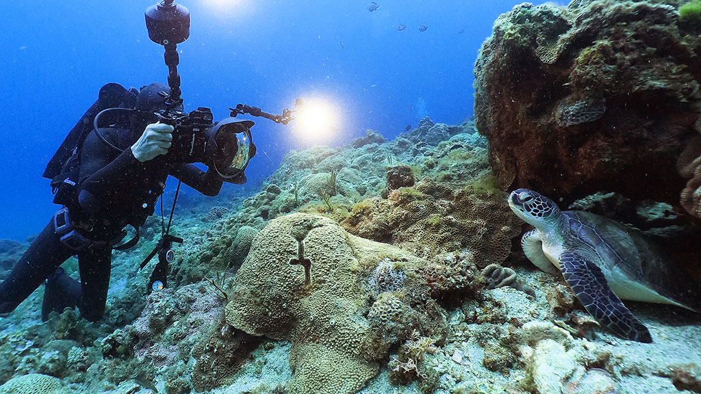 水中撮影：ウミガメと水中カメラマン