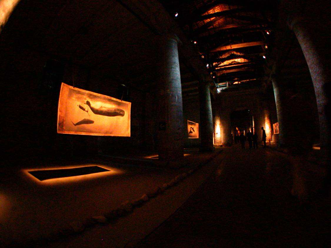 「Ashes and Snow」展