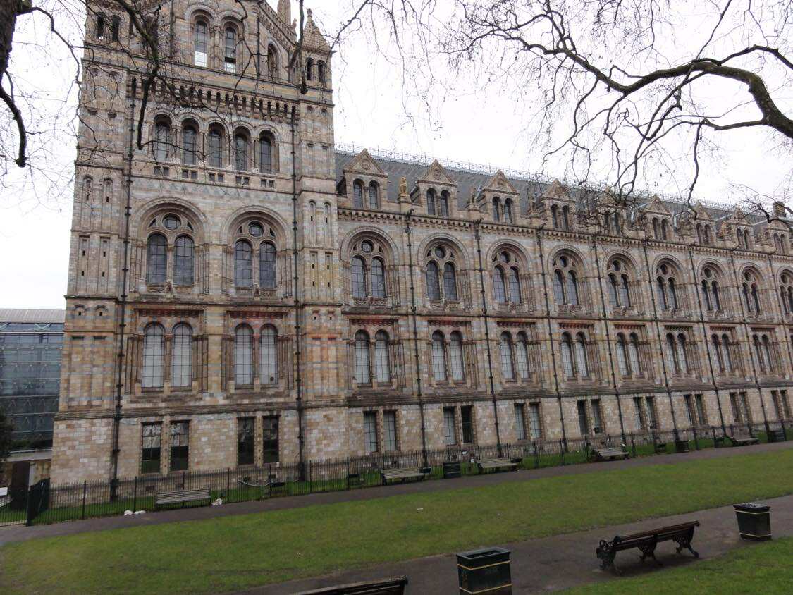 英国自然史博物館