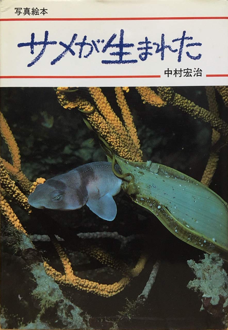サメが生まれた (写真絵本)