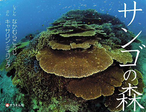 サンゴの森 キャサリン ミュジック (著) なかむら こうじ (写真)